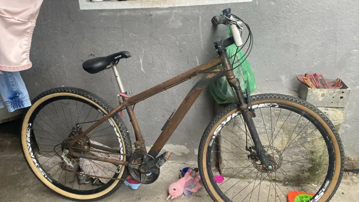 Bike 29