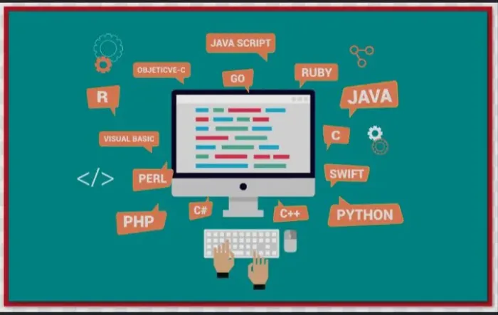 Programador junior
