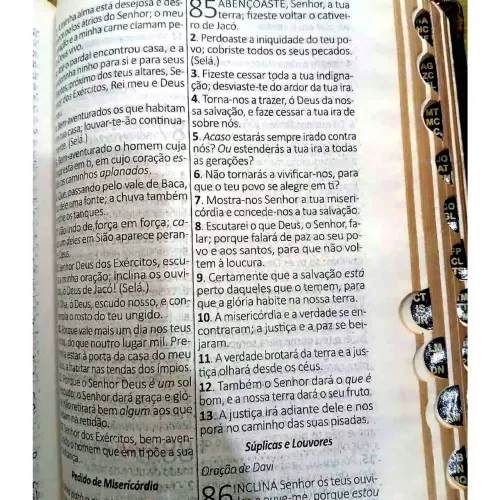 Bíblia Sagrada velho e novo testamentos