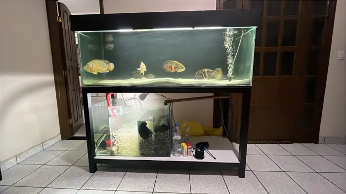 Aquario