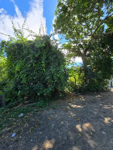 Terreno 311,50mts²
