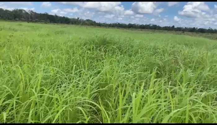 Excelente fazenda à venda no Piauí
