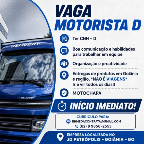 MOTORISTA ENTREGADOR CAT D