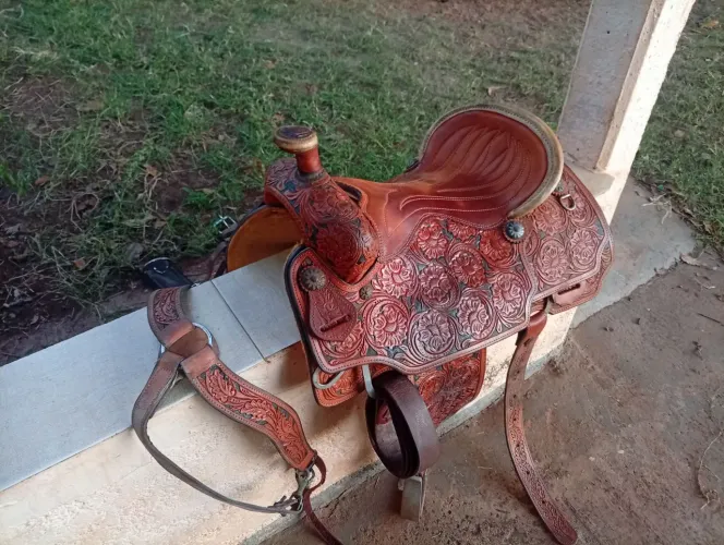 Sela de laço presidente prudente 