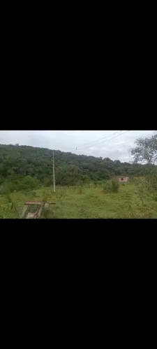 Vende - se Terreno em Vianopolis