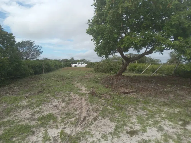 VENDO TERRENO BAIRRO OLHO D'ÁGUA SANTO AMARO MARANHÃO