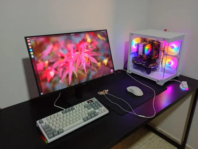 PC GAMER COMPLETO RODA TUDO 