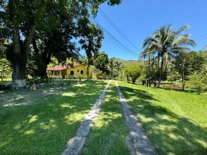 Barrozo Imóveis - Sítio a venda com 20.000 pés palmito pupunha, curral, pastagem.