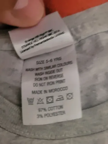 Camiseta cinza