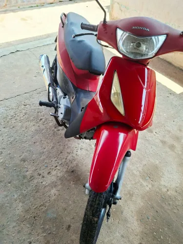 Moto boa e barata 