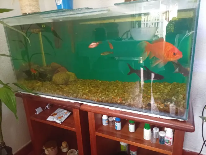 AQUARIO COMPLETO 90 LTS