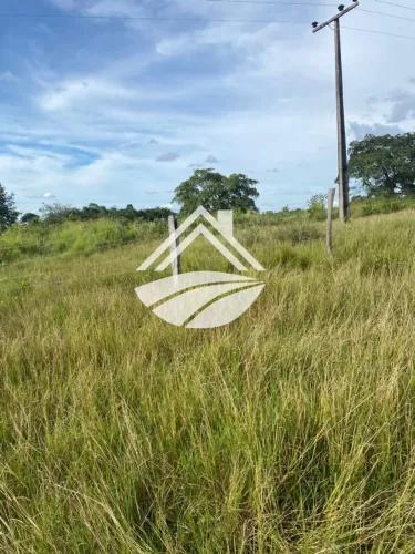 Fazenda para Venda em Colinas do Tocantins, área rural de ampla expansão agropecuária
