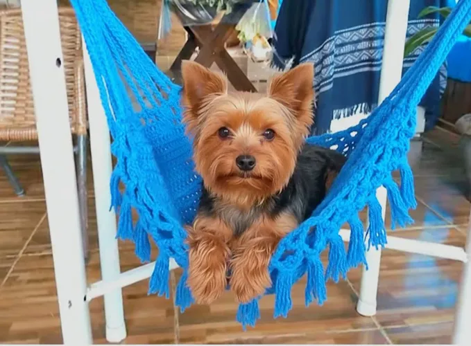 Rede de crochê  para pet azul 