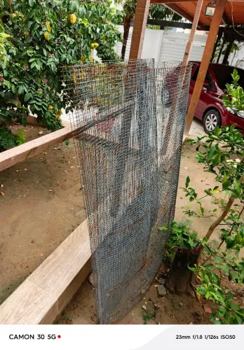 Tela galvanizada