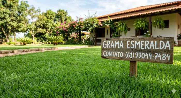 GRAMA GRAMAS BATATAES
