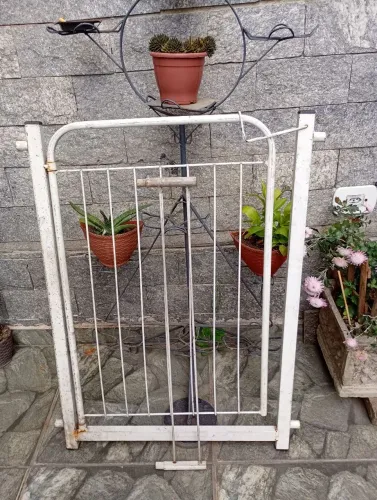 Portão cachorro