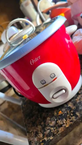 PANELA DE ARROZ OSTER