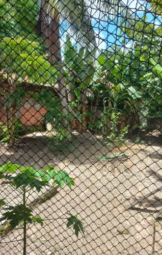 Vendo terreno 