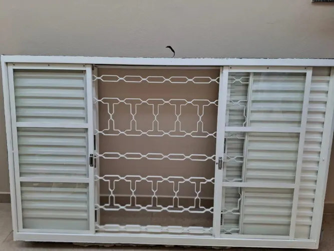 Veneziana multiflex sasazaki