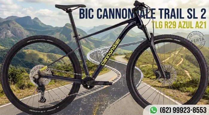 Bic Cannondale Trail SL 2 TLG R29 Azul A21