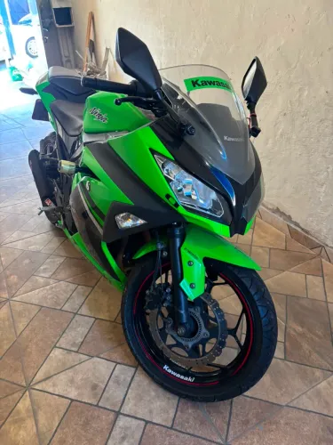 Ninja 300