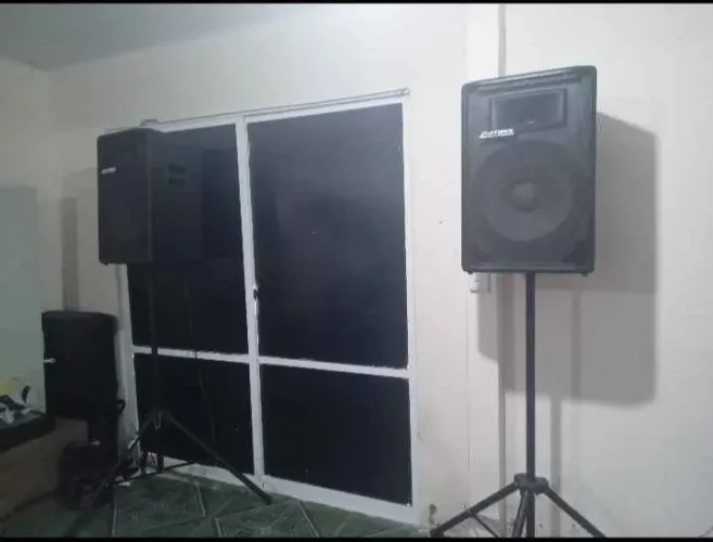 SOM PROFISSIONAL DE 15 POLEGADAS ATIVO+PASSIVO
