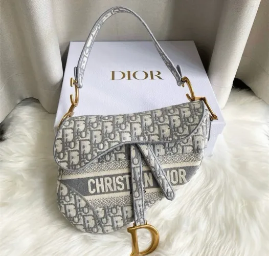 Bolsa Saddle Bags and Dior