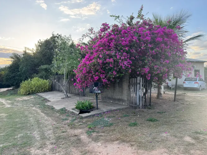  VENDO CASA COM TERRENO GRANDE E POMAR PRODUZINDO  NO SANTA CECÍLIA (CANTÁ)