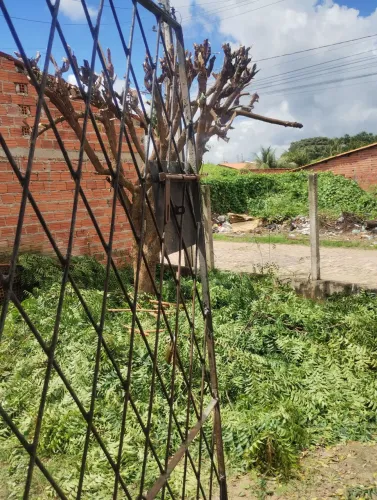 Casa na Taboca 