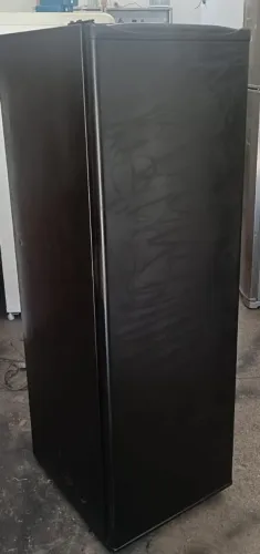 Freezer vertical