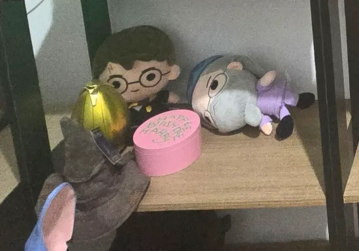 Coleção Harry Potter Cacau Show