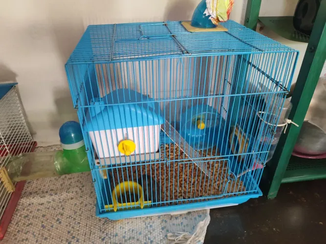 Hamster (gaiolas e túnel)
