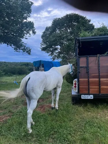 Beto Transportes