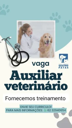 Auxiliar veterinário
