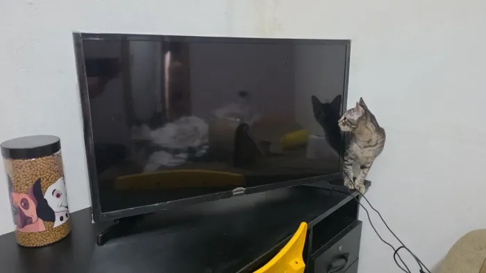 Smart TV Samsung 32 polegadas