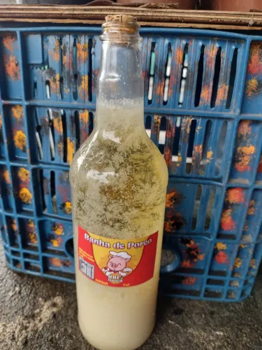 Banha de porco