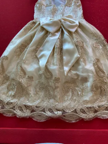 Vestido de daninha de honra usado só uma vez
