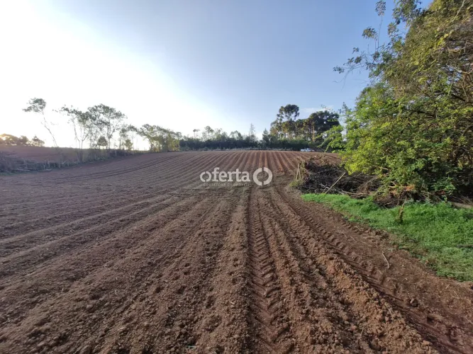 Chácara/Terreno em Contenda