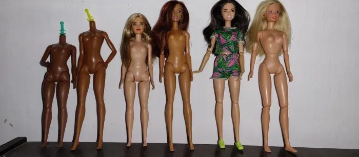 Lote de Barbies