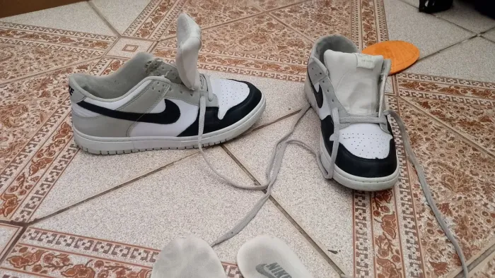 Tênis Nike dunk