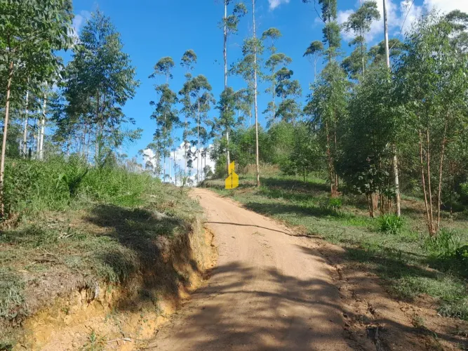 Terreno à venda no bairro Barra São João - Benedito Novo/SC