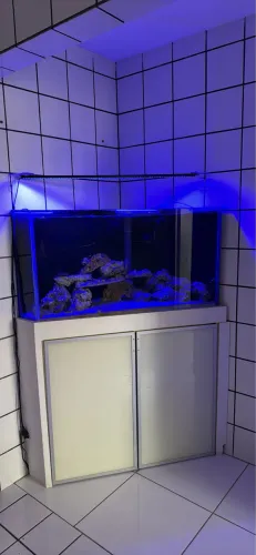 AQUÁRIO MARINHO 500 Litros 