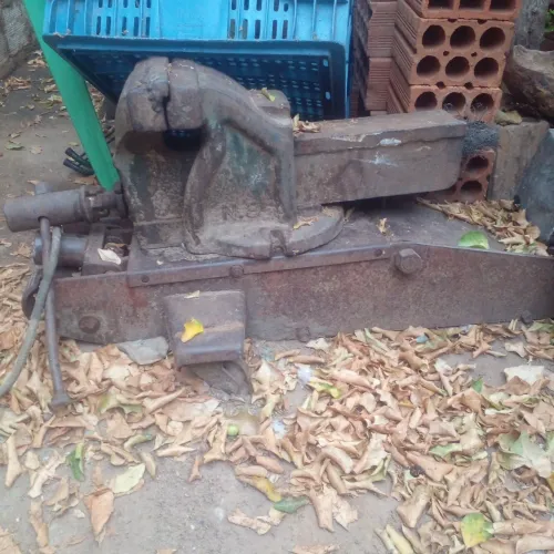 VENDE-SE UMA MORSA E UM MACACO JACARÉ...RELÍQUIAS 