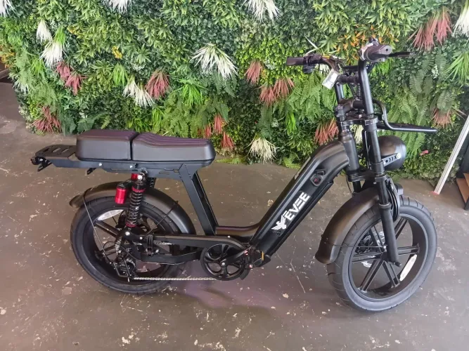 Bicicleta Elétrica Evee D50