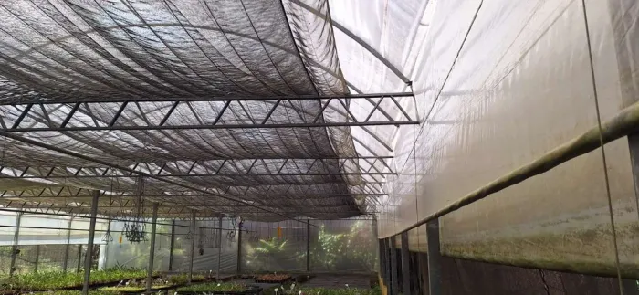 Estrutura de Estufa Agrícola 12,8x24m - 307m2