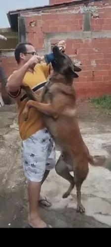 Procurando uma fêmea ! 