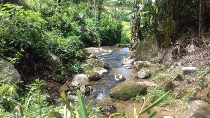 Fazenda / Sítio / Chácara à venda, 156 mil m² - Testo Central - Pomerode