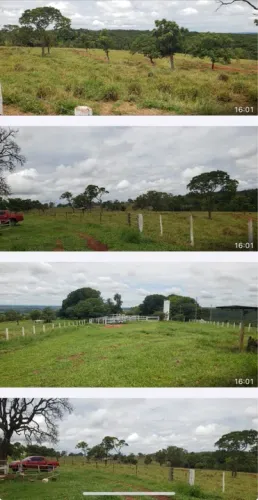 Fazenda campina verde dupla 