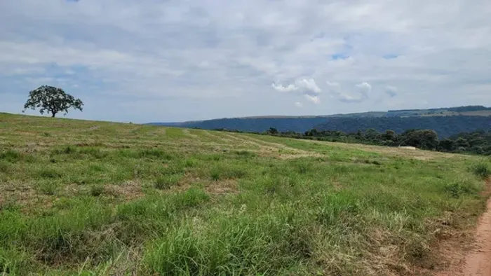 Sítio à venda, Teixeira - São Pedro/SP