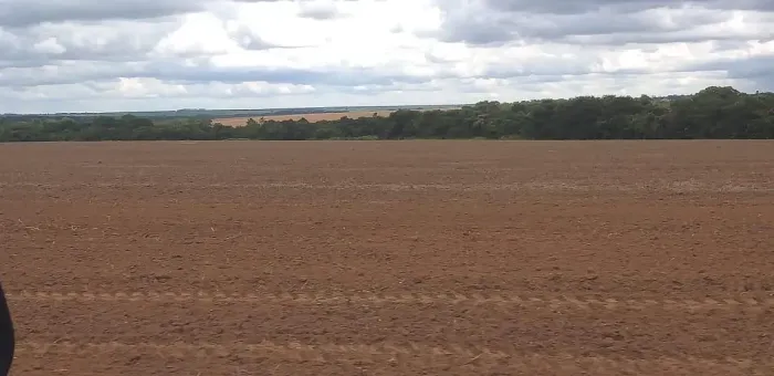 Fazenda de arrendamento 600hec em Canarana MT.